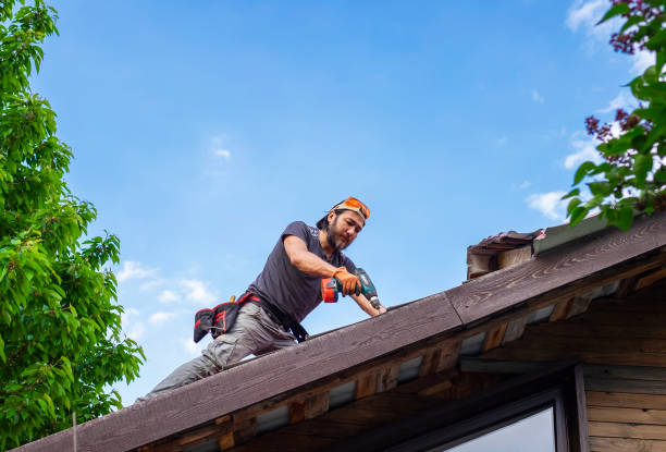 Best Roof Moss and Algae Removal  in Mars Hill, NC